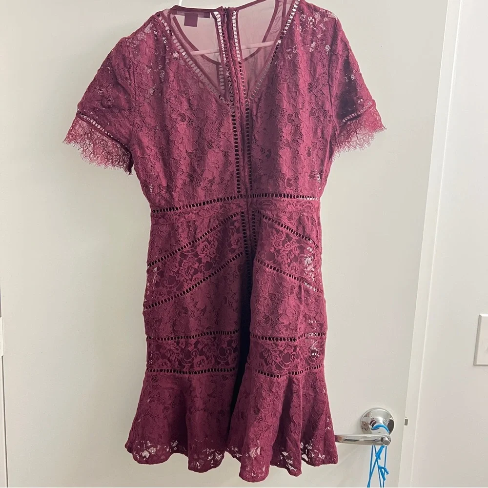 🎄holiday season🎁French Connection Chante lace midi dress in Burgundy - Picture 6 of 6